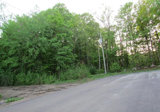 Land for Sale - 45 Rue de la Chantecler, Oka, J0N 1E0