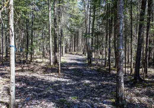 Land for Sale -  Rue du Mont-Girard, Repentigny, J0B 2P0