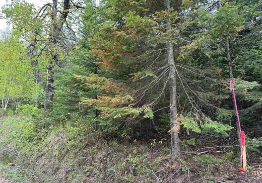 Land for Sale -  Mtée Mongeau, Saint-Calixte, J0K 1Z0
