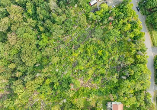 Terrain à vendre -  Rue Ovide, Val David, J0T 2N0