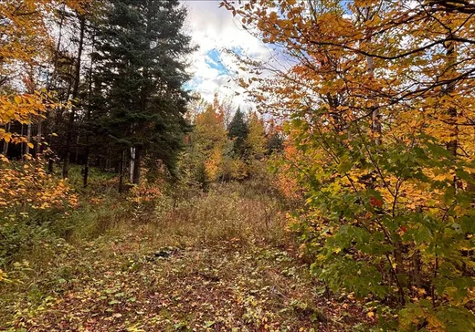 Terrain à vendre - 101 Ch. des Appalaches, Notre-Dame-Des-Boies, J0B2E0