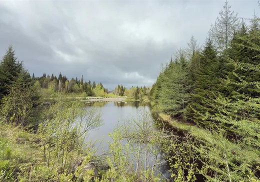 Land for Sale - 101 Ch. des Appalaches, Notre-Dame-Des-Boies, J0B 2E0