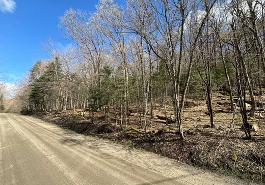 Land for Sale -  Ch. Jackson, Wentworth North, J0R 1Y0