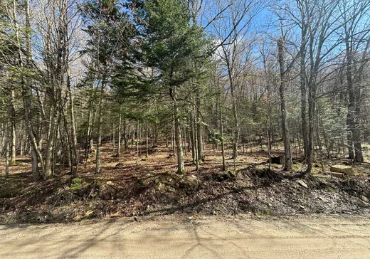 Land for Sale -  Ch. Jackson, Wentworth North, J0R 1Y0