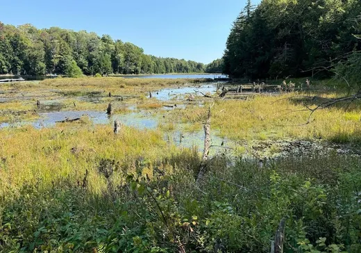 Land for Sale -  Rue des Trilliums, Gore, J0V 1K0
