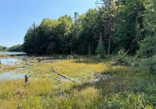 Land for Sale -  Rue des Trilliums, Gore, J0V 1K0