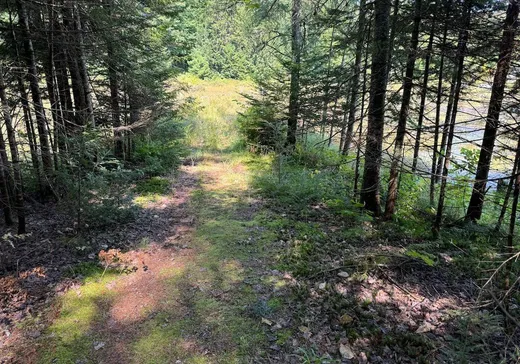 Land for Sale -  Rue des Trilliums, Gore, J0V 1K0