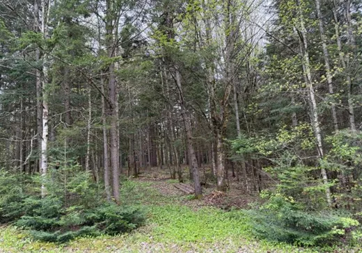 Land for Sale - 318B Route St-Damien, St-Malachie, G0R 3N0