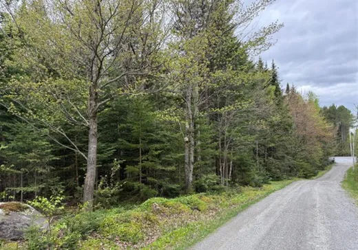 Land for Sale - 318B Route St-Damien, St-Malachie, G0R 3N0
