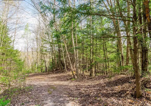 Terrain à vendre -  Rue de la Croix, Sherbrooke, J1M 1N6