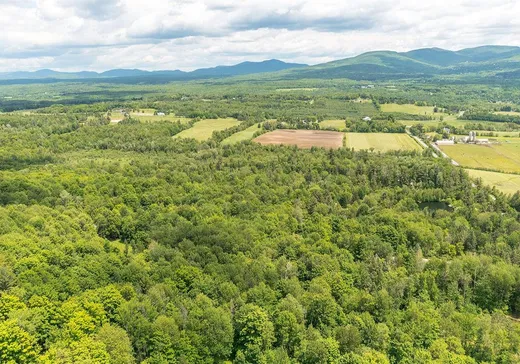 Terrain à vendre -  Ch. Holmes, Sutton, J0E 2K0