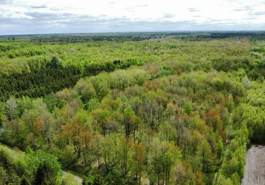 Terrain à vendre -  Ch. des Hêtres, Bécancour, G9H3L3