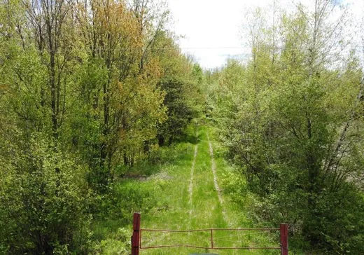 Terrain à vendre -  Ch. des Hêtres, Bécancour, G9H 3L3