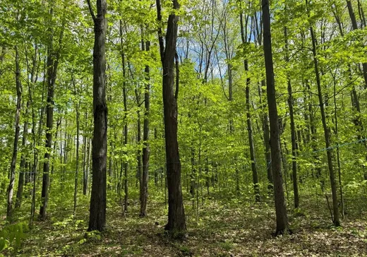 Terrain à vendre -  Ch. des Hêtres, Bécancour, G9H 3L3