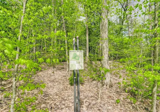 Land for sale - 16 Ch. Richens, Chelsea, J9B0G7