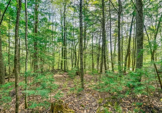 Land for Sale - 16 Ch. Richens, Chelsea, J9B 0G7