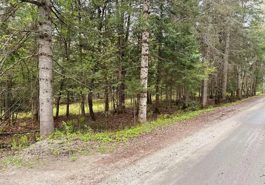Terrain à vendre -  Ch. du Lac-Boileau O., Rivière-Rouge, J0T 1T0