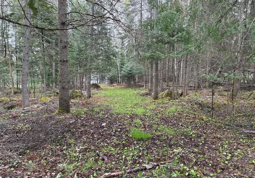 Terrain à vendre -  Ch. du Lac-Boileau O., Rivière-Rouge, J0T 1T0