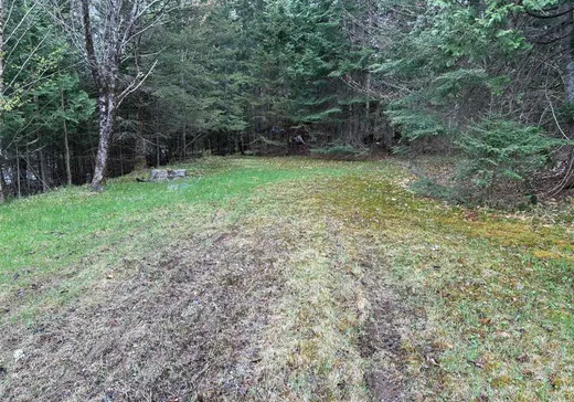 Terrain à vendre -  Ch. du Lac-Boileau O., Rivière-Rouge, J0T 1T0