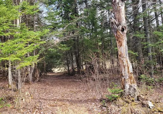 Land for Sale -  Ch. du Lac-aux-Ours, Mont-Tremblant, J0T 1P0