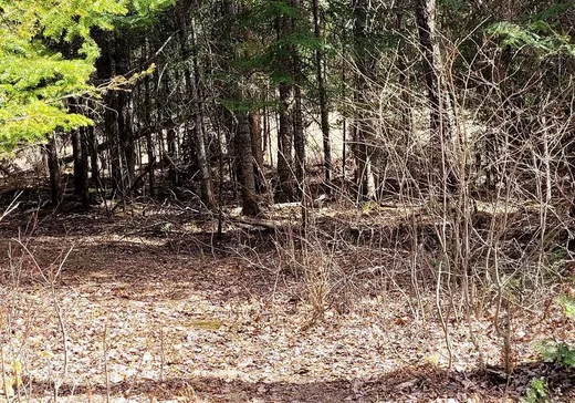 Land for Sale -  Ch. du Lac-aux-Ours, Mont-Tremblant, J0T 1P0
