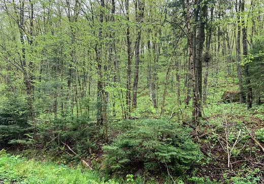 Terrain à vendre -  Ch. Breton, Saint Malo, J0B2Y0