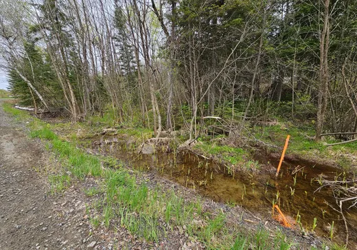 Land for Sale -  Ch. du Lac-Chabot S., Chicoutimi, G7P 3B4