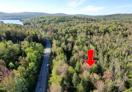 Terrain à vendre - 12 Rue Bordeleau, Magog, J1X0M9