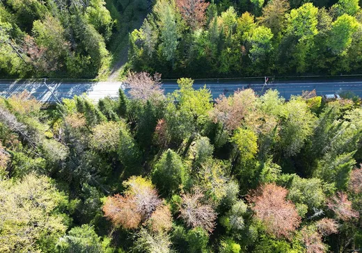 Terrain à vendre - 12 Rue Bordeleau, Magog, J1X 0M9