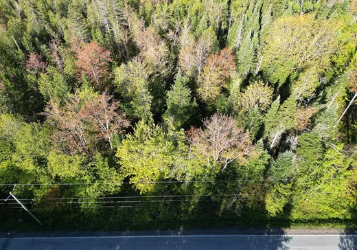 Terrain à vendre - 12 Rue Bordeleau, Magog, J1X 0M9