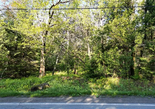 Terrain à vendre - 12 Rue Bordeleau, Magog, J1X 0M9