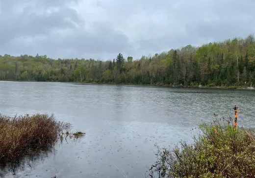 Terrain à vendre -  Rue du Sentier-du-Bouleau, Mandeville, J0L1L0