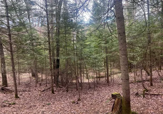 Land for Sale -  Ch. de la Vallée-Manitou, Sainte-Agathe-des-Monts, J8C 2Z8