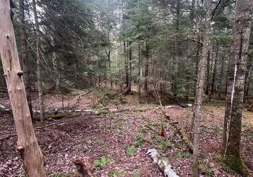 Land for Sale -  Ch. de la Vallée-Manitou, Sainte-Agathe-des-Monts, J8C 2Z8