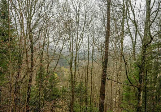 Terrain à vendre -  Ch. de la Petite-Suisse, Morin-Heights, J0R 1H0