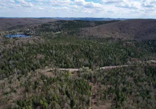 Land for Sale -  Ch. Ladouceur, Sainte-Agathe-des-Monts, J8C 3R8