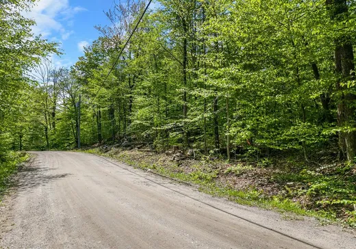 Terrain à vendre - 10 Rue Hilltop, Bolton-Est, J0E 1G0