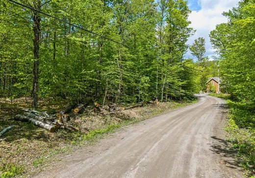 Terrain à vendre - 10 Rue Hilltop, Bolton-Est, J0E 1G0