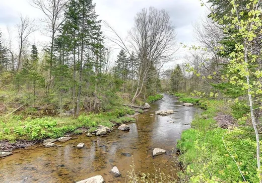 Terrain à vendre - 549Z Route 216, Sherbrooke, J0B 3G0
