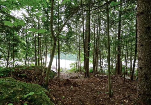 Land for Sale -  Mtée de Montcalm, Montcalm, J0T 2V0