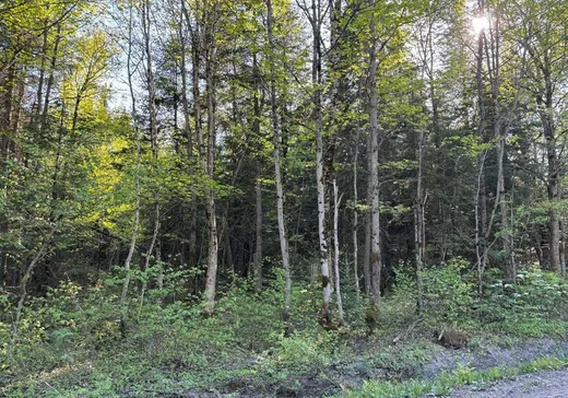Land for Sale - 2636V Ch. du Lac-Vert, Saint-Nérée-de-Bellechasse, G0R 3V0