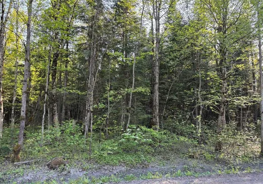 Land for Sale - 2636V Ch. du Lac-Vert, Saint-Nérée-de-Bellechasse, G0R 3V0