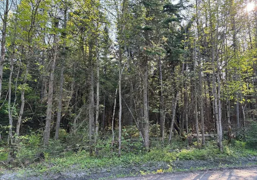 Land for Sale - 2636V Ch. du Lac-Vert, Saint-Nérée-de-Bellechasse, G0R 3V0