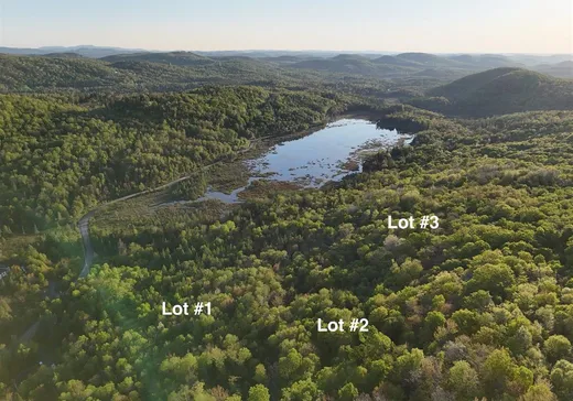 Terrain à vendre -  Ch. du Moulin, Sainte-Adèle, J8B 2H8