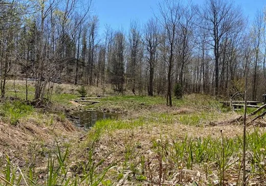 Land for Sale -  Ch. du Domaine-du-Lac-Grenville, Grenville, J0V 1B0