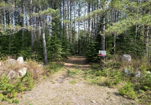 Land for sale -  Ch. Terreault, Mont-Tremblant, J0T1H0