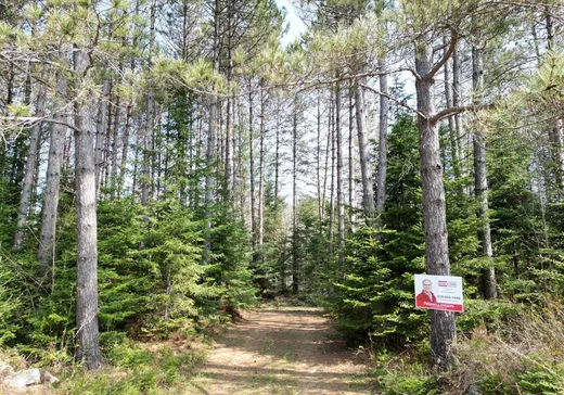 Terrain à vendre -  Ch. Terreault, Mont-Tremblant, J0T 1H0