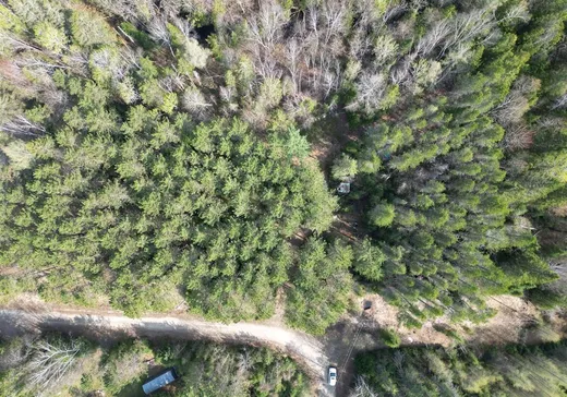 Terrain à vendre -  Ch. Terreault, Mont-Tremblant, J0T 1H0