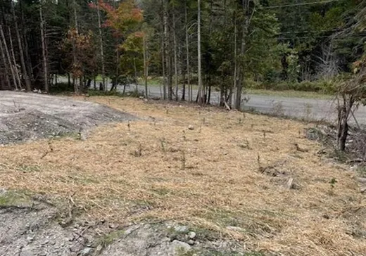 Terrain à vendre - 334 Ch. de la Montagne, St-Malachie, G0R3N0