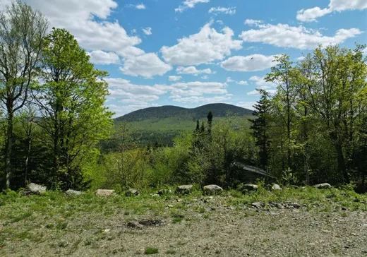 Land for Sale - 5 Ch. Nathalie, Notre-Dame-Des-Boies, J0B 2E0